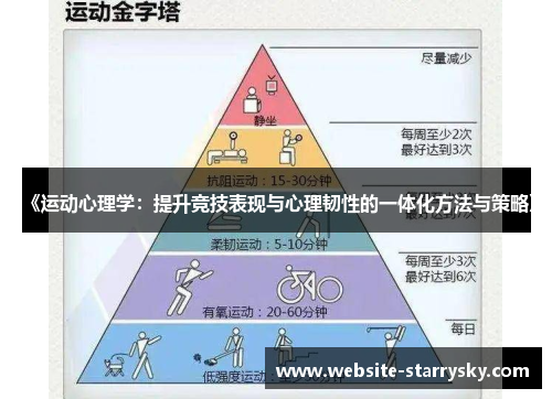 《运动心理学：提升竞技表现与心理韧性的一体化方法与策略》
