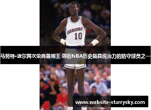 马努特·波尔两次荣膺盖帽王 领衔NBA历史最具统治力的防守球员之一