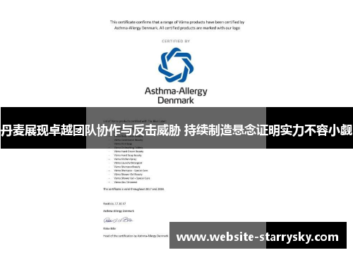 丹麦展现卓越团队协作与反击威胁 持续制造悬念证明实力不容小觑