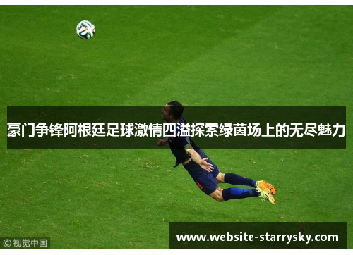 豪门争锋阿根廷足球激情四溢探索绿茵场上的无尽魅力