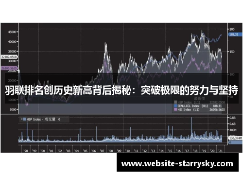 羽联排名创历史新高背后揭秘：突破极限的努力与坚持