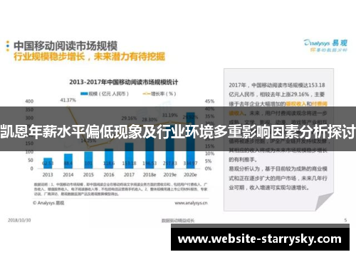 凯恩年薪水平偏低现象及行业环境多重影响因素分析探讨