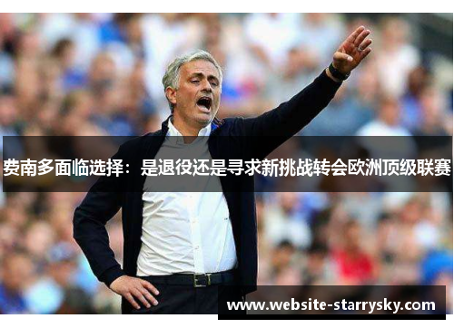 费南多面临选择:是退役还是寻求新挑战转会欧洲顶级联赛 费南多面临选择:是退役还是寻求新挑战转会欧洲顶级联赛